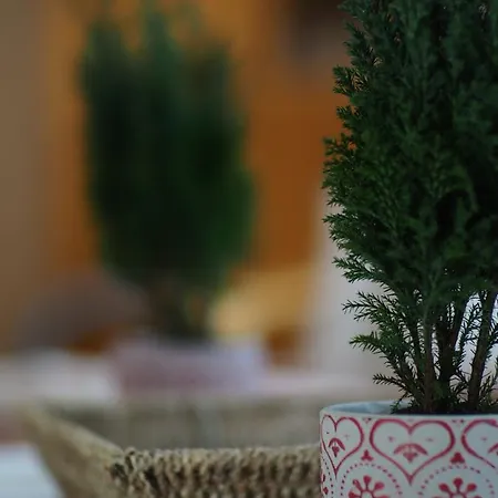 بيت للعطل Ferienhaus Luftschnapper برونلاغ